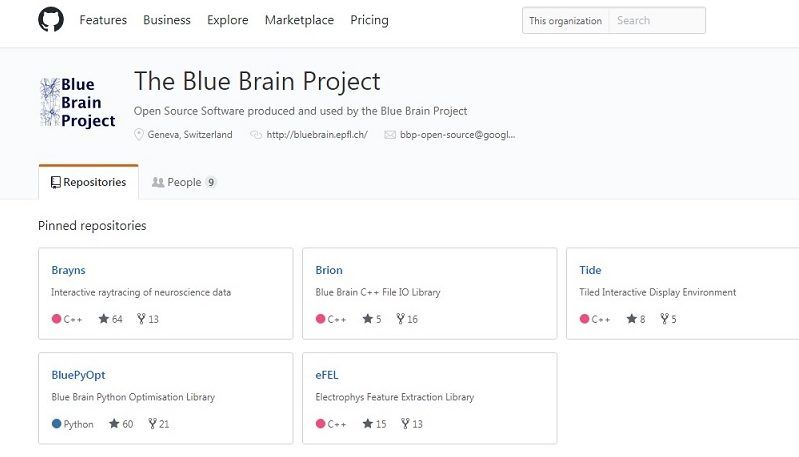 The Blue Brain project and developments - Krazytech